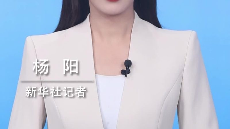 企业级机器学习平台应用案例解析